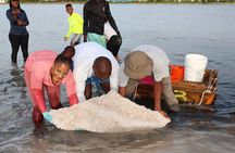Cultural Salt Picking Experience in Anguilla