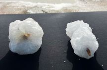 Cultural Salt Picking Experience in Anguilla