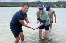 Cultural Salt Picking Experience in Anguilla
