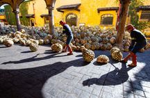 Experience Jose Cuervo