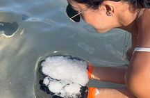 Cultural Salt Picking Experience in Anguilla