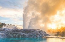 From Auckland : Rotorua Tepuia Tour with Haka and Hangi Lunch 