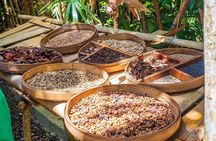 Beauty of Ubud, Rice Terrace, Temple, Monkey Forest, Waterfall