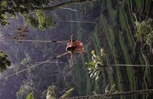 Beauty of Ubud, Rice Terrace, Temple, Monkey Forest, Waterfall