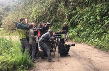 Mindo Birdwatching Discover the Hidden Wonders of Ecuador