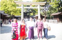8 Days Best Of Japan Family Small Group 