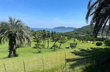 Itoshima Mountain Panorama and Scenic Coastline E-bike Tour