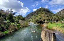 Small Group Tour To Karangahake Gorge & Waihi Gold Exploration