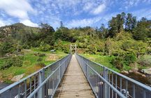 Small Group Tour To Karangahake Gorge & Waihi Gold Exploration