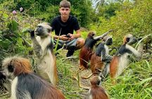 Jozani forest + Spice Tour +stone Town tour 