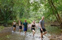 Khao Sok Adventure: Jungle Safari in Thailand’s Oldest Rainforest