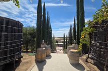 Wine tasting Tour to Temecula from San Diego (Private)