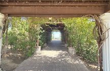 Wine tasting Tour to Temecula from San Diego (Private)