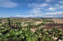 Wine tasting Tour to Temecula from San Diego (Private)