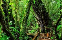 Chiang Mai to Doi Inthanon Full Day Shared Tour