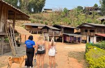 Chiang Mai to Doi Inthanon Full Day Shared Tour