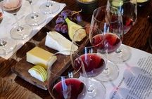 Christchurch Secret Inner City Walking Tour and Hidden Gems