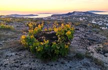 Terroir Santorini-Sommelier’s Sunset Selection