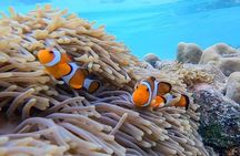 Angthong National Marine Park 42 Island Speed Boat From Koh Samui