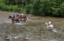 Zakopane Horse Riding and Thermal Baths full day from Krakow
