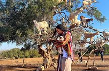Agadir Croco Park and Argan Goat Farm Adventure