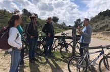 Bike Tour Haarlem | National Park | Dunes & Sea