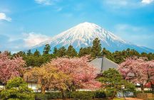 Mount Fuji 5th Station, Arakurayama, Oshino Hakkai and Hot Spring