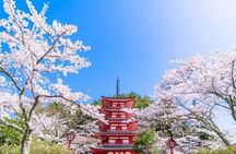 Mount Fuji 5th Station, Arakurayama, Oshino Hakkai and Hot Spring