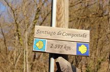 Vigo Santiago de Compostela Shore Excursion with Guide