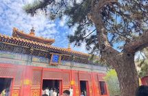 Private day: Lama Temple, Temple of heaven and Summer palace tour