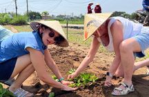 Food walking Tasting tour and visit family run local farm