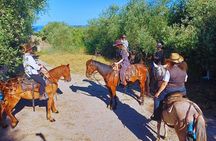 Sorrento Guided Horseback Riding Tour