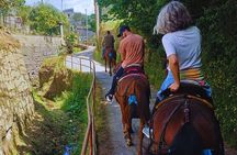 Sorrento Guided Horseback Riding Tour