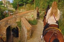 Sorrento Guided Horseback Riding Tour