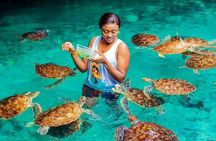 Luxury Tour to SALAAM CAVE and THE ROCK RESTAURANT 