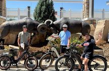 Experience Fort Collins by E Bike Guided Tour