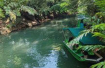 Monkey Mangrove Boat Tour in Manuel Antonio Costa Rica