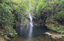 Placencia Jungle Hike and Waterfalls at Cockscomb Jaguar Preserve