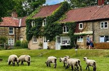 Runswick Bay, Staithes and Whitby Tour