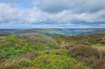 Runswick Bay, Staithes and Whitby Tour