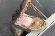 Airboat Swamp Tour