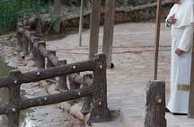 Day Tour Madaba Mount Nebo and Baptism Site from Amman 