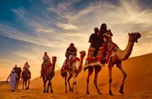 Dubai Desert Safari with Quad Bike, Camel Ride & BBQ Dinner Feast