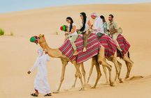 Dubai Desert Safari with Quad Bike, Camel Ride & BBQ Dinner Feast