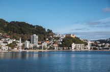 Wellington 90 minute Harbour Cruise