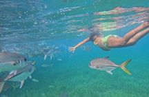 Fishing and Snorkeling Combo Tour from Hopkins Belize