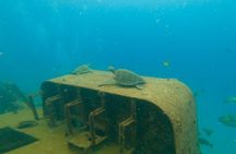Scuba Diving Adventure in La Paz