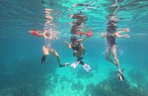 Barrier Reef Snorkeling from Hopkins Village