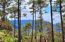 Explore Sierra Norte, Half-Day Hiking Adventure