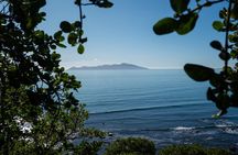 Kāpiti Coast: Escarpment Track Guided Hiking Tour, Coffee + Lunch